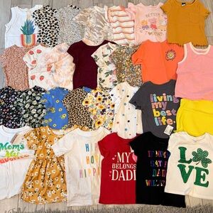 Toddler Girls 2T T-Shirt Lot